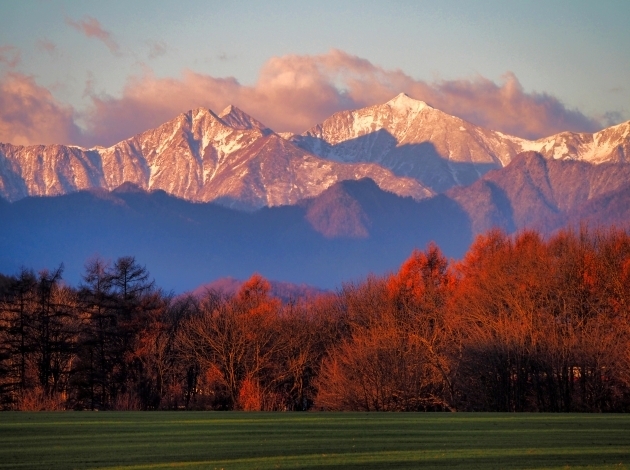 代替えテキスト