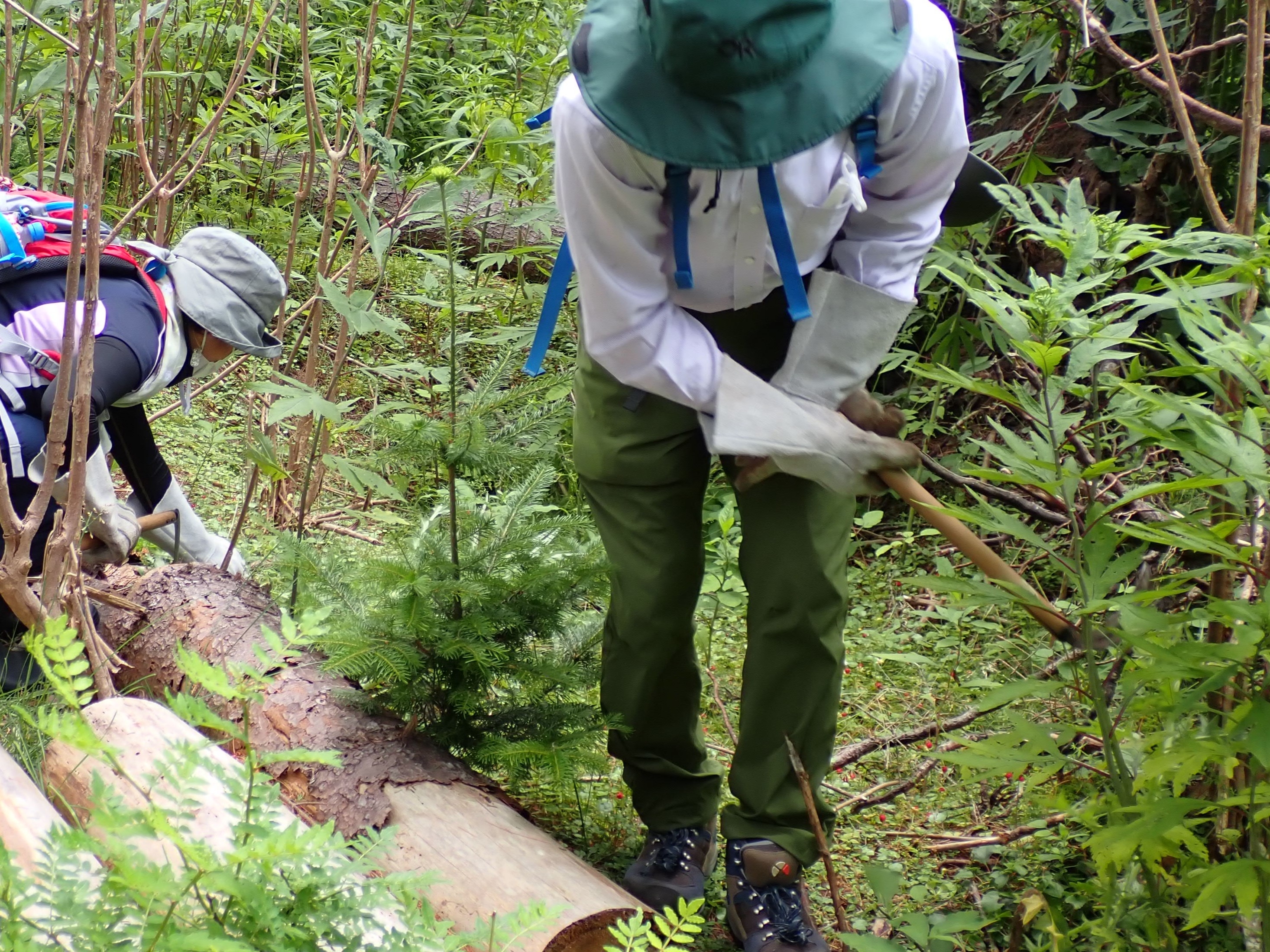従来のスタイル