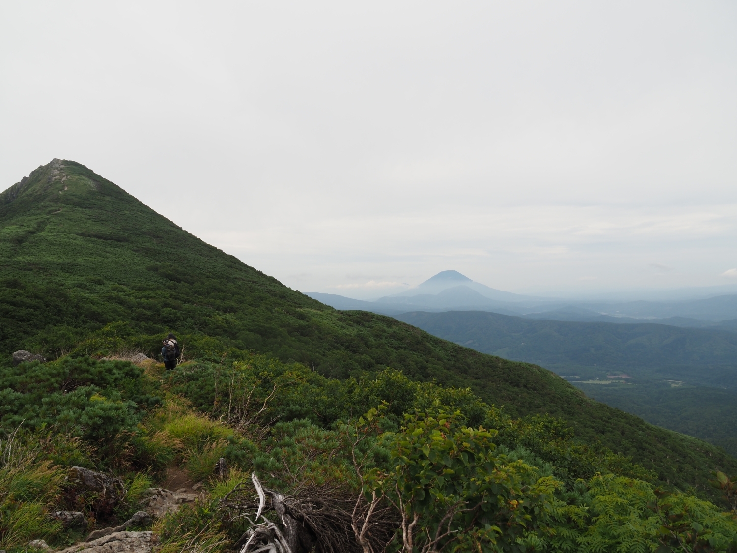 ホロホロ徳舜瞥から羊蹄山