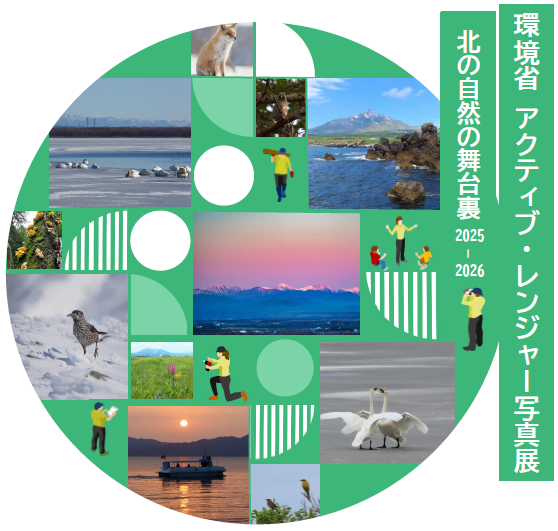 AR写真展リンク