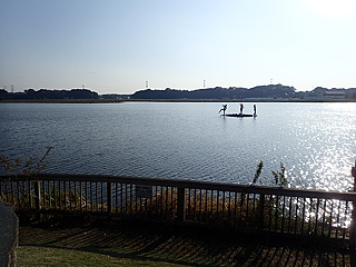 手賀沼にうかぶカッパの像