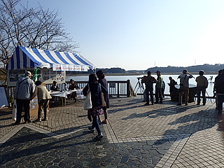 実際にバードウォッチングがおこなわれている