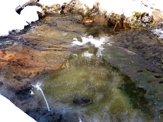 「複数のホースで沢水が引き込まれている池(水抜き状態)」