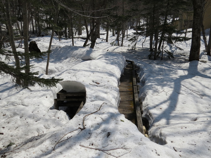 阿寒湖畔エコミュージアムセンター裏の木道の残雪