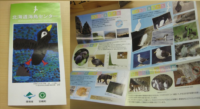 羽幌の海鳥センター