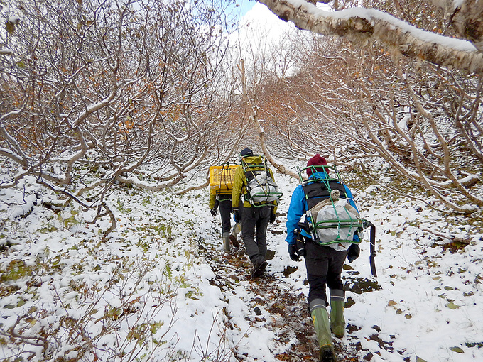 背負子で石を運搬する