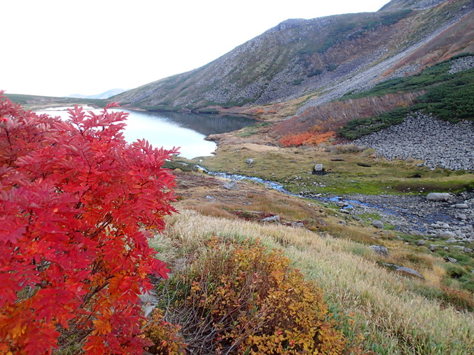 穏やかな野営指定地、ヒサゴ沼