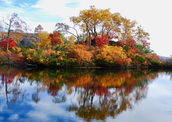 大雪山高原沼巡りコース紅葉３
