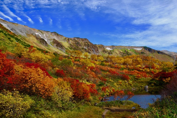 大雪山高原沼　紅葉