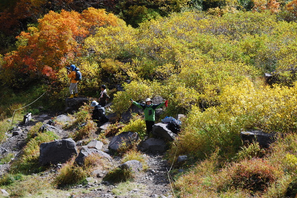 大雪山高原沼巡りコース紅葉