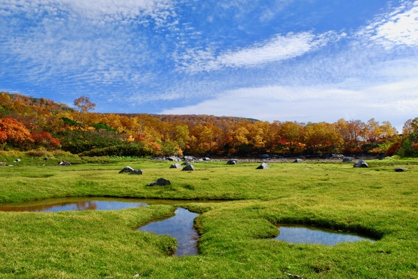 大雪山高原沼　紅葉