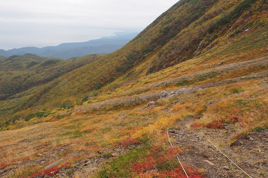 眼下に広がる根室海峡を背に橙、紅、黄色の草紅葉に覆われる高山帯のお花畑が眼前に広がる。（2018年9月撮影）