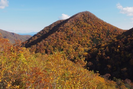 知床横断道路から垣間見る紅葉に包まれた山麓（2018年10月）