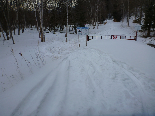林道に残るスノモビルのキャタピラ痕