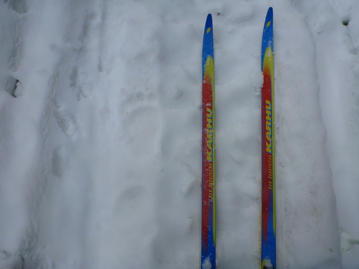 目覚めた山親爺の足跡