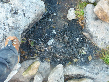 火入れやたき火をしてはならない。