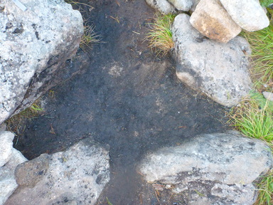 二度としませんように