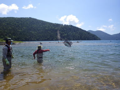 然別湖北岸でかご罠を投入
