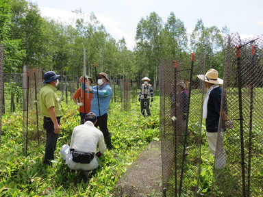 まずは樹脂網囲い施工のおさらい