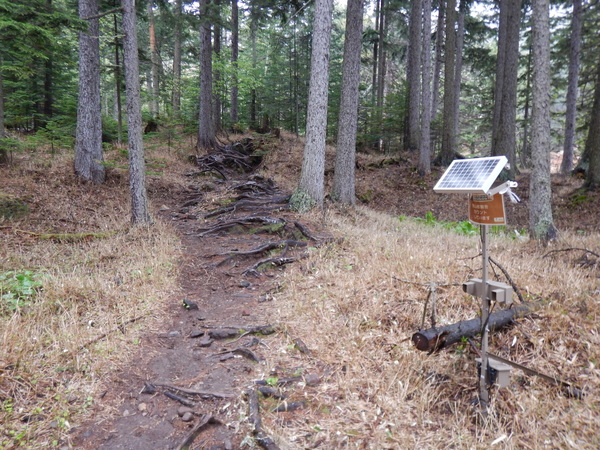 登山者カウンター