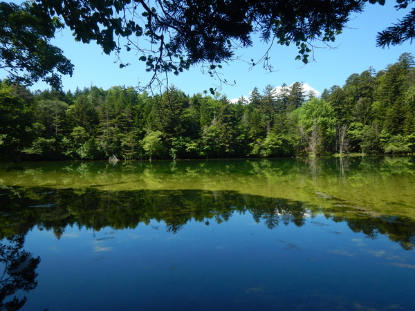 雄阿寒岳次郎湖夏２