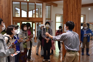 外来植物の実物