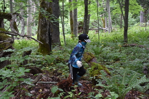 藪の中にも外来植物が！