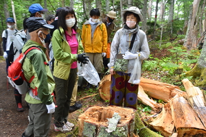 集めてみるとすごい量です