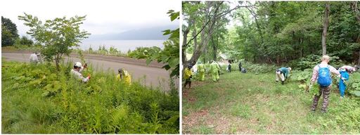 除去作業の様子