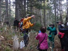自然公園財団スタッフによる自然解説