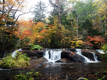 乙女の滝の紅葉風景