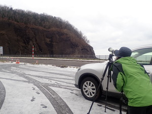 海ワシ調査風景