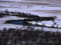 写真：釧路湿原国立公園 細岡展望台より