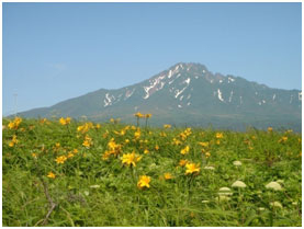 写真：御崎園地からの利尻山