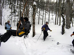 写真:自然観察会(ツタのブランコ)の様子