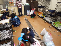 写真１０：一次飼育の様子