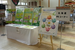 【写真12】３Ｒ推進パネル展示（北海道）