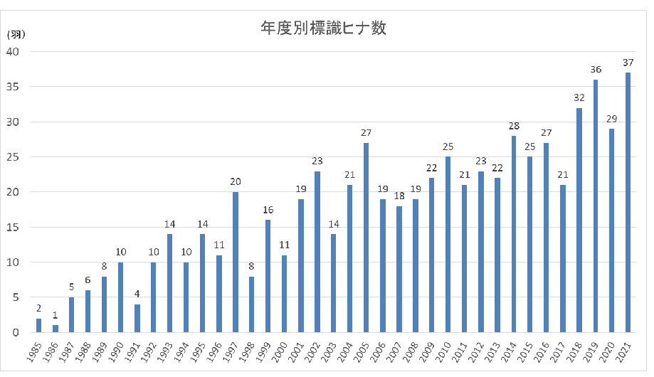 R3_年度別標識ヒナ数