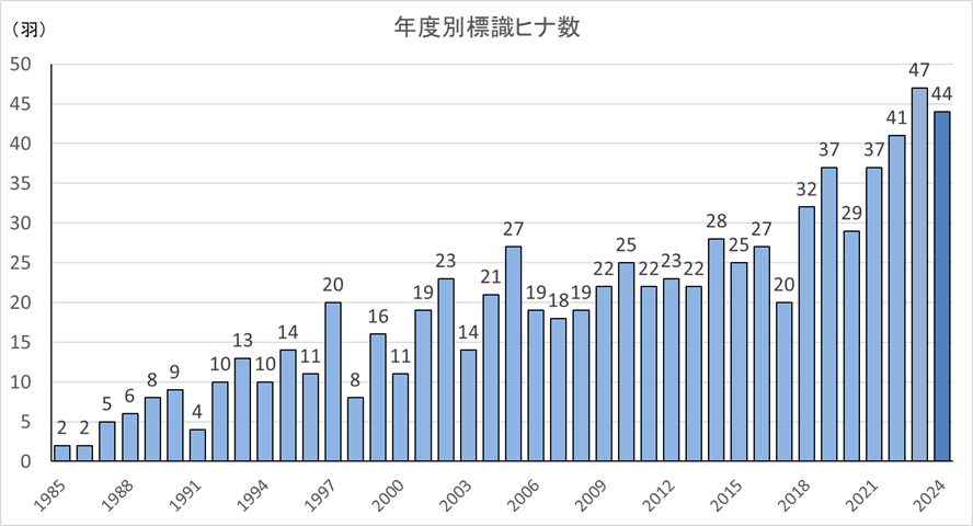 図 シマフクロウの標識ヒナ数の推移 ※数値はあくまで標識したヒナの数を示すものです。結果には調査における努力量も影響するため、この数がヒナの全体数を示すものではありません。